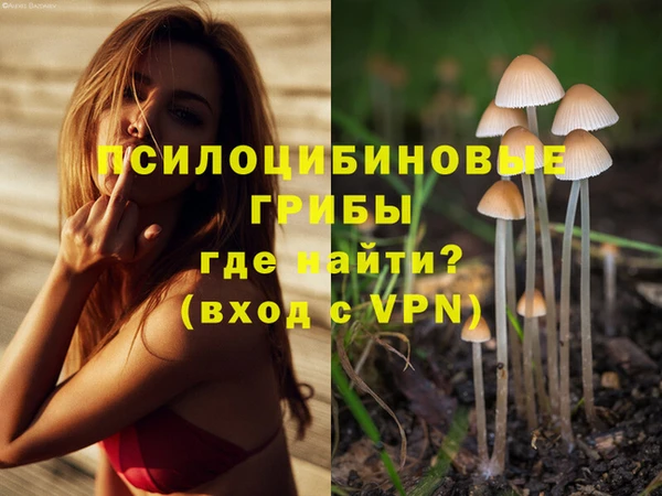 метадон Абаза