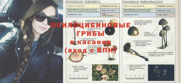 метадон Абаза