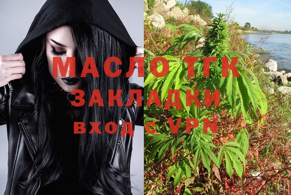 дживик Няндома