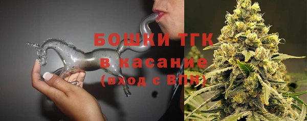 дмт Алексин
