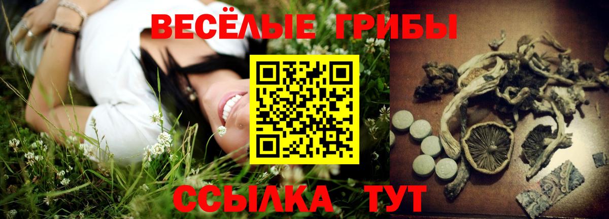 Галлюциногенные грибы Cubensis  Вход с VPN  Камышлов 